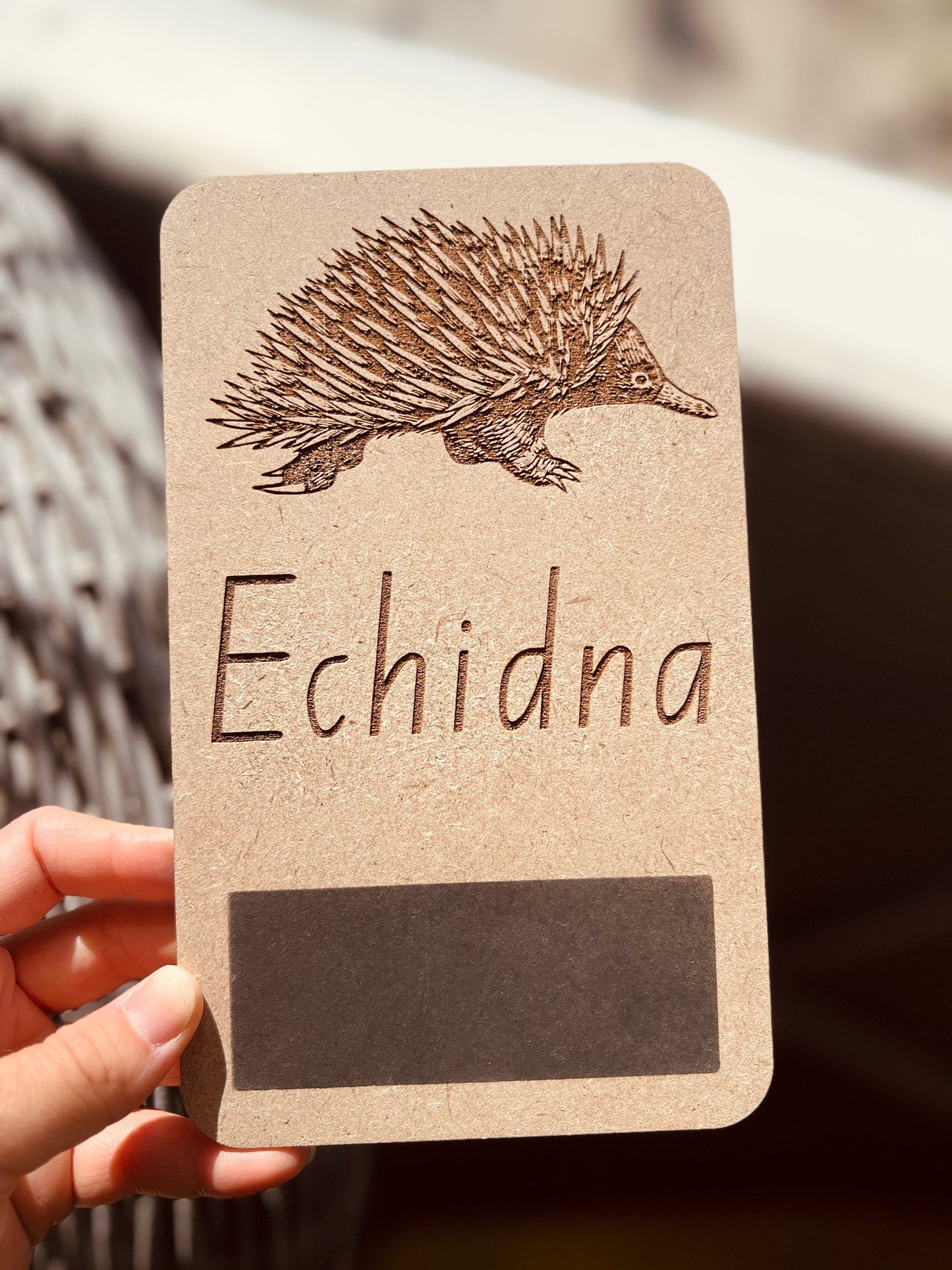 Australian Native Animal Flash Cards